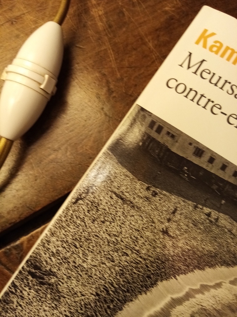 Meursault, contre-enquête